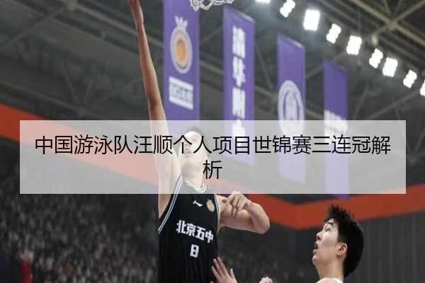 中国游泳队汪顺个人项目世锦赛三连冠解析
